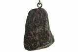 Stony Chondrite Meteorite ( grams) Keychain - Morocco #238148-1